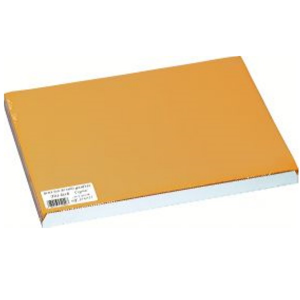 Tischsets Papier Orange - 500 Stck